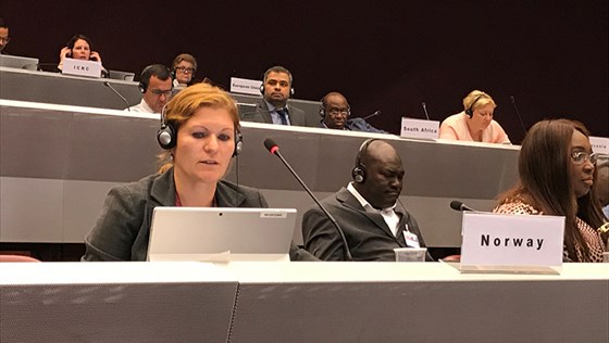 Avdelingsdirektør Silja Skjelnes holder Norges innlegg under møtet i Genève.