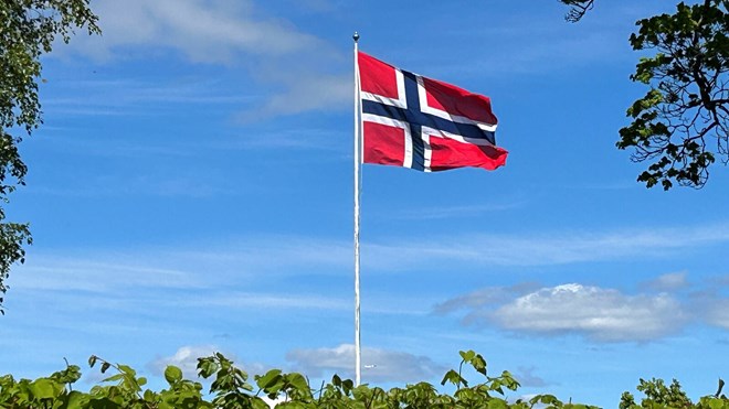 Bilde av flagget med blå himmel omringet av trær