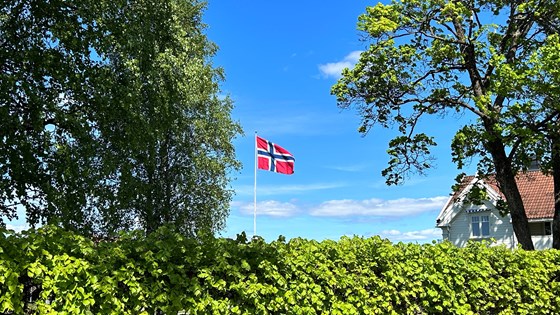 Bilde av flagget med trær rundt og hvitt hus ved siden av