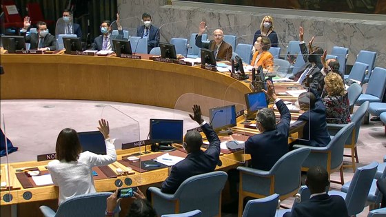 Et enstemmig sikkerhetsråd vedtok torsdag 3. juni å forlenge FNs politiske oppdrag i Sudan (Unitams). Norges Trine Heimerback avgir stemme lengst til venstre. Foto: FN