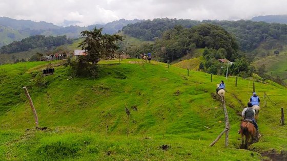Personell fra FNs verifikasjonsoppdrag i Colombia (UNVMC) overvåker et jordbruksprosjekt som skal bistå i å reintegrere tidligere Farc-soldater i Tolima fylke. Foto: UNVMC