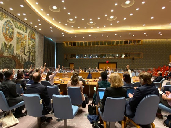 Sikkerhetsrådet stemte 8. juli ned  resolusjonsukastet for fornyelse av mandatet for grensekryssende humanitær  assistanse fra Tyrkia til Nordvest-Syria.  Foto: FN-delegasjonen