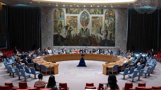 Sikkerhetsrådet forlenger Unifil-styrkenes mandat i Libanon. Foto: FN