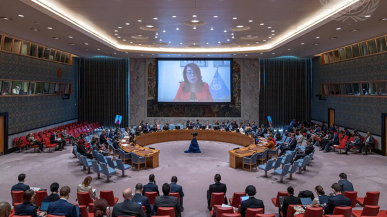 Ghada Fathi Waly (på skjermen) , leder for FNs kontor mot narkotika og kriminalitet (UNODC) . Foto: FN