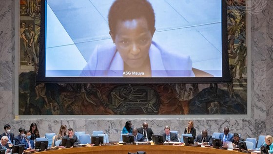 FNs assisterende nødhjelpskoordinator, Joyce Msuya (på skjermen). Foto: FN