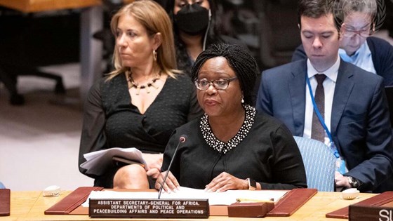 FNs assisterende generalsekretær Martha Pobee orienterer. Foto: FN