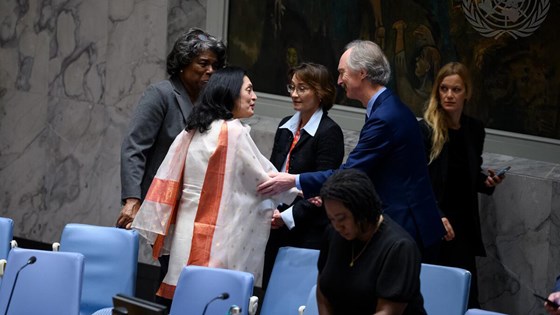 FNs spesialutsending forSyria, Geir O. Pedersen, og Indias Ruchira Kamboj. Foto: FN