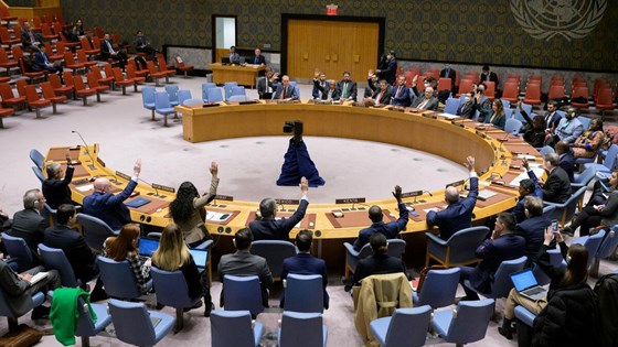 Sikkerhetsrådet: Enstemmig vedtak om resolusjon 2663. Foto: FN