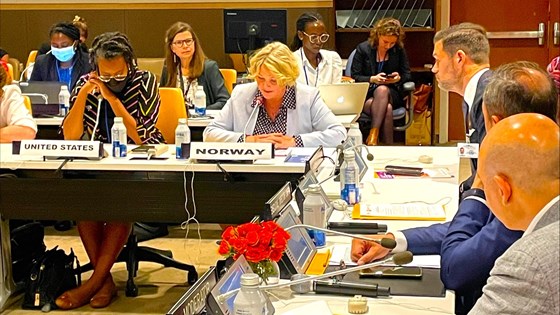 Bilde av utviklingsminister Tvinnerheim som holder innlegg sittende på et bord med flere deltakere rundt.