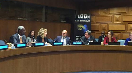 Statsråd Vidar Helgesen deltok i et møte om miljøkriminalitet. Foto: Andreas Kravik, FN-delegasjonen