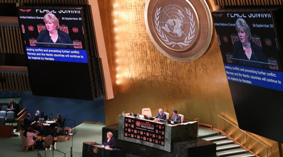 Statsminister Erna Solberg holder sitt fellesnordiske innlegg. Foto: Borgar Tormodsgard, UD