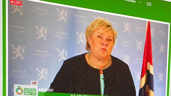 Statsminister Erna Solberg holder innlegg på virtuelt toppmøte om matsystemer. Foto: Lise Albrechtsen, UD