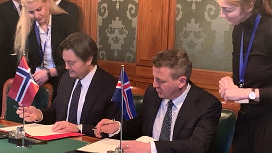 Statssekretær Jens Frølich Holte undertegner avtalen med Island. Foto: Guri Solberg, UD