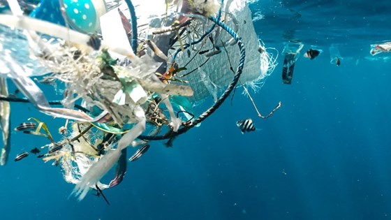 Bilde under havoverflaten med masse flytende søppel