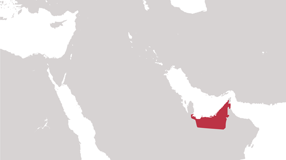 De forente arabiske emirater. Illustrasjon: Torbjørn Vagstein, DSS