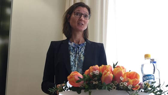 Statssekretær Marianne Hagen innleder på miniseminaret i Helsingfors. Foto: Silje Bjarkås Bryne, UD