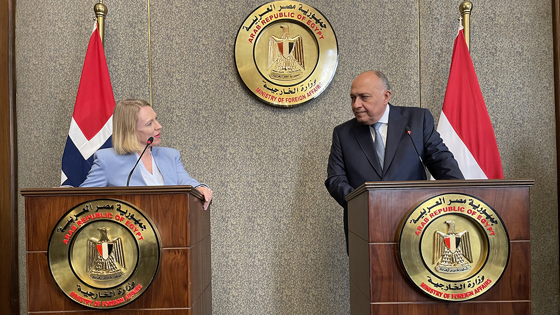 Utenriksministeren tok opp menneskerettighetssituasjonen i Egypt i sitt møte med utenriksminister Sameh Hassan Shoukry. Foto: Guri Sobjerg, UD