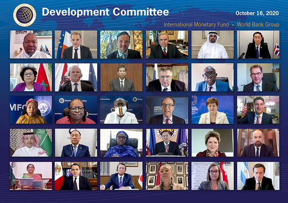 From the virtual meeting. Credit: World Bank