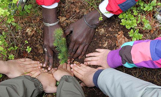Mange barnehender planter tre.
