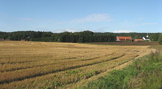 Møglestu i Lillesand