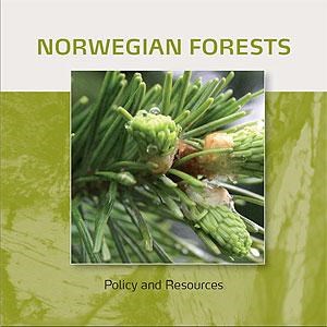 Brosjyre Norsk Skogpolitikk Engelsk