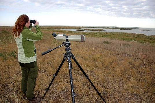 State secretary Heidi Sørensen watching migrating birds in a nature reserve in Kazakhstan. (Photo: Marianne Gjørv)