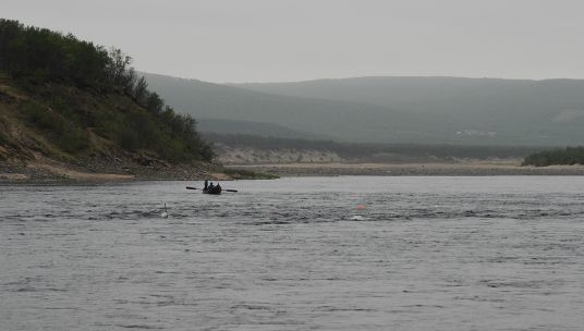 Laksefiske i Tana. Foto: Sturla Brørs/Direktoratet for naturforvaltning