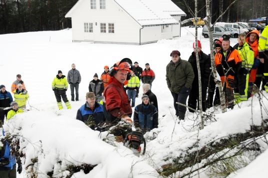 Kurs i sikker rydding av stormskada skog i Gloppen kommune