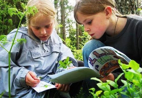 Skole i skogen
