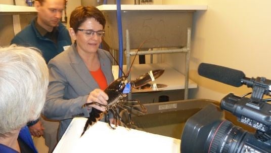 Fiskeri- og kystminister Lisbeth Berg-Hansen åpnet et nytt forsøksanlegg for levendelagring av fisk og skalldyr i Atlanterhavsparken i Ålesund.
