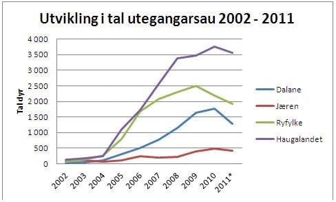 Figur 4. Utvikling i tal utegangarsau i Rogaland i perioden desember 2002 – desember 2011. Tala er henta frå søknad om produksjonstilskott. Merk at tala for desember 2011 er førebelse.