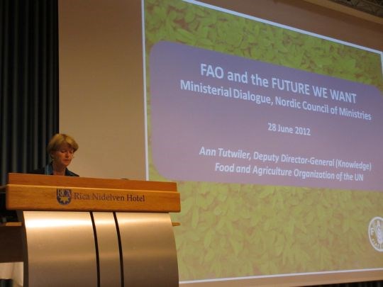 Ann Tutwiler, visegeneraldirektør i FAO innleder til politisk ministerdialog om global matsikkerhet etter Rio 20-konferansen. 