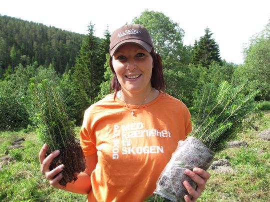 Marianne Augdal Dahl skogeier i Åsen i Levanger