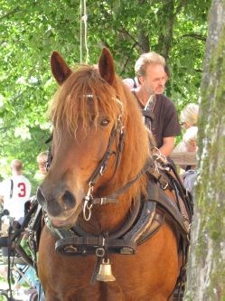 Hestekjøring på Bogstad gård