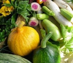 Diverse grønsaker