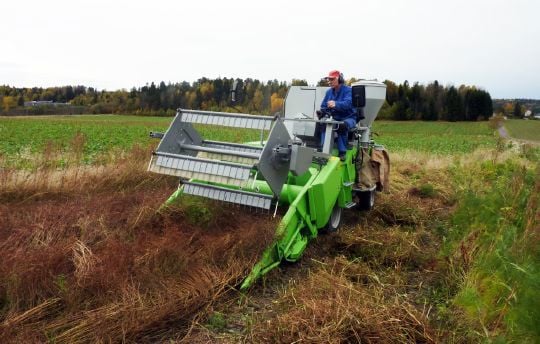 Gardbruker Hans Johan Kjølsrød på Re i Vestfold tresker koriander. 