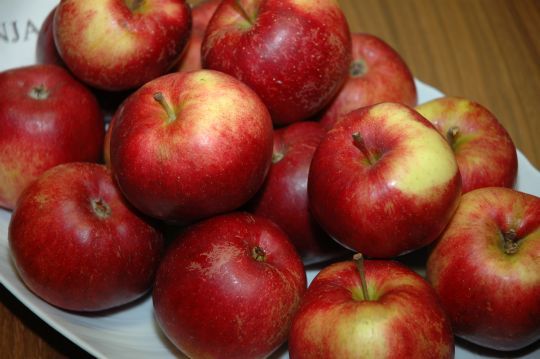Den nye eplesorten Sonja