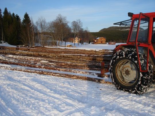 I vinter har flere skogeiere har vært i sving i skogen Nord-Trøndelag med landbrukstraktor og vinsj. 