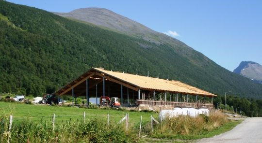 Deler av oksefjøset fra 2007 til Ranveig Kaino og Jon Arne Johansen i Tromsø, er nettopp ominnredet til løsdrift og robot for melkeproduksjon.