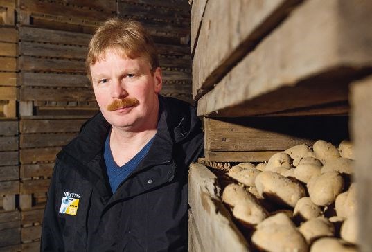 Olav Grundnes, Grundnes gård i Målselv Troms med poteten Gulløye