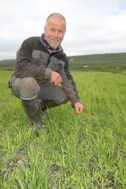 Jon Petter Harila med høstsådd timoteiblanding