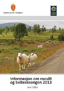 Brosjyre: Informasjon om rovvilt og beitesesongern 2013 (Foto: Fylkesmannen i Oppland)
