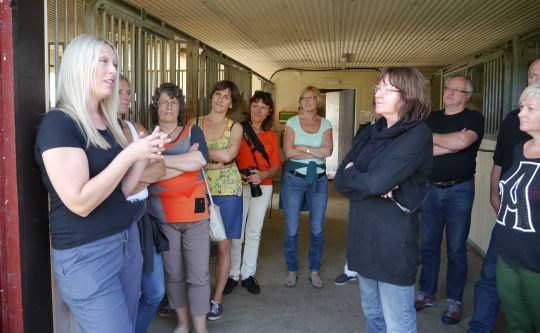 I august var forskarar og kommunal- og statleg forvalting samla til drøfting om kommunal satsing på Inn på tunet i Kvinnherad, ein av Inn på tunet-løft-kommunane.