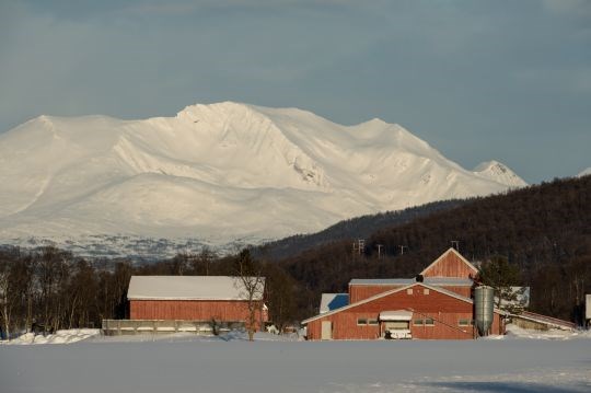 Gård i vinterlandskap i Nord-Norge