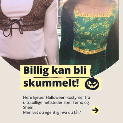 Bilde av to personer i kostymer fra filmen Shrek