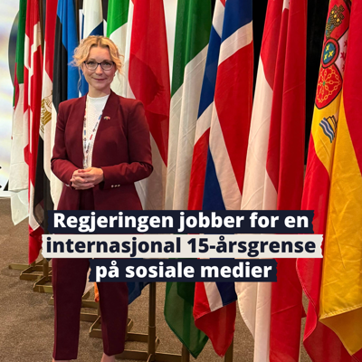 Bilde av digitaliseringsminister Karianne Tung foran flagg på G20-møte