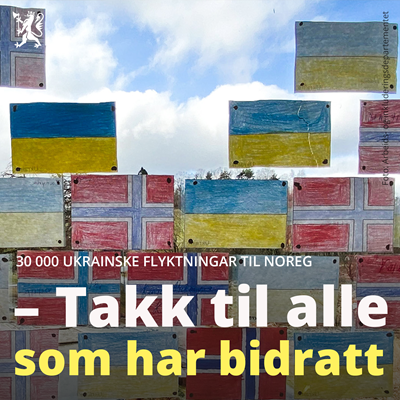 Ukrainske og norske flagg