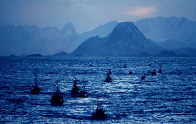 Redegjørelse i Stortinget 3. mai 2001 - Fiskeriminister Otto Gregussen