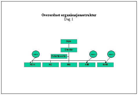 Figur 1: Overordnet organisasjonsstruktur - Dag 1