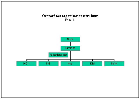 Figur 2: Overordnet organisasjonsstruktur - Fase 1